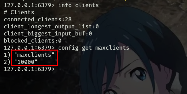 image-20230204165018033
