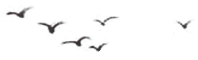 166bd7bc3ba495d81a82c5a91bd3d2da.png