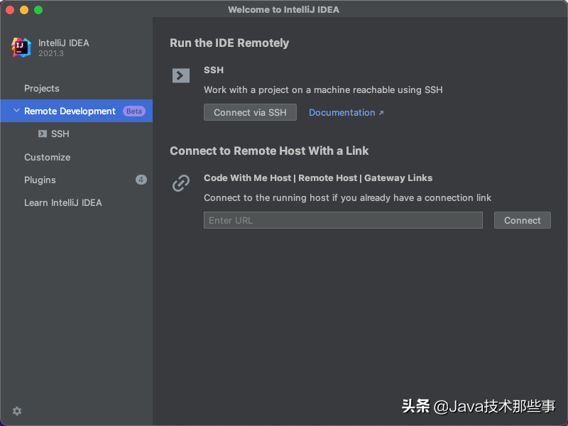 IntelliJ IDEA 2021.3 来了，新功能很强大