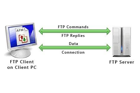 网站ftp和服务器是什么关系,HTTP和FTP之间有哪些区别