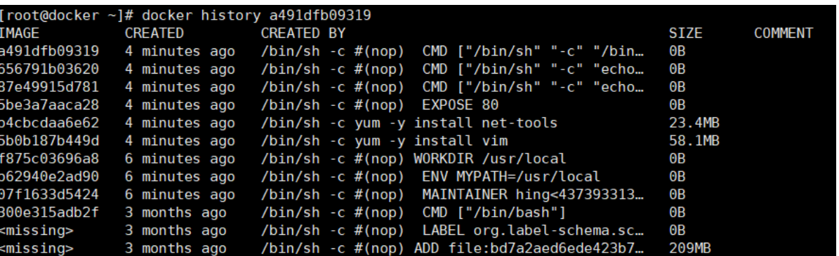 image-20210428164934788