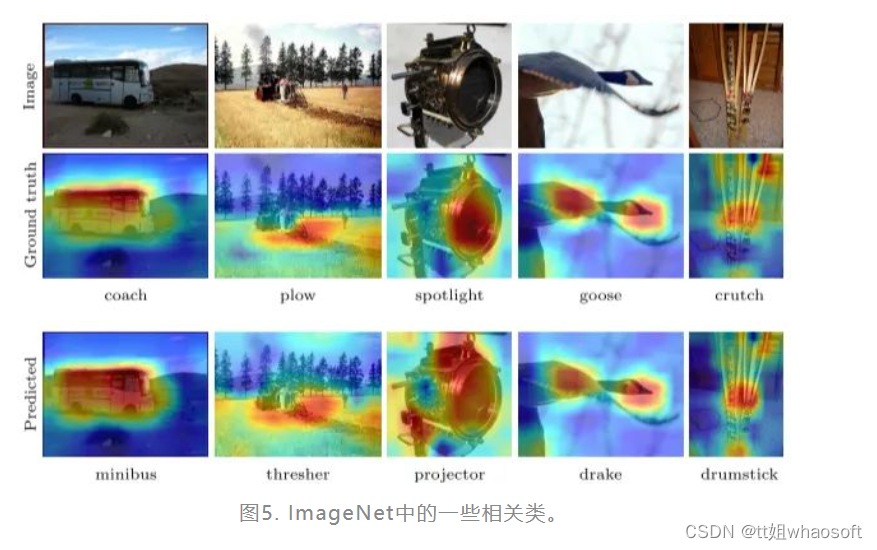 类激活方法_深度学习_08