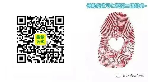 量化指标公式源码_通达信指标公式源码线上阴线指标公式