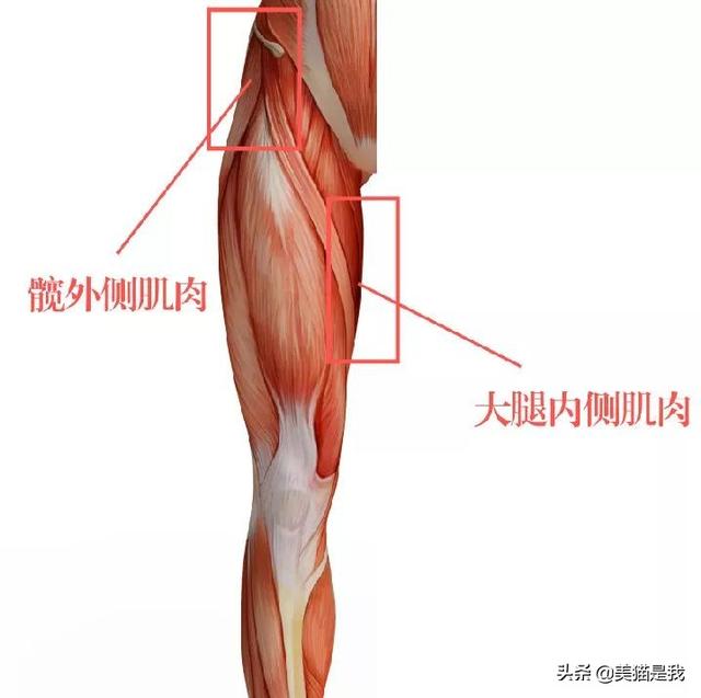 导致了我们腿内侧炯如紧张,腿部外侧肌肉