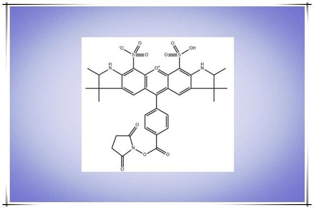 荧光AF染料477876-64-5，Alexa Fluor 532，AF532 NHS ester