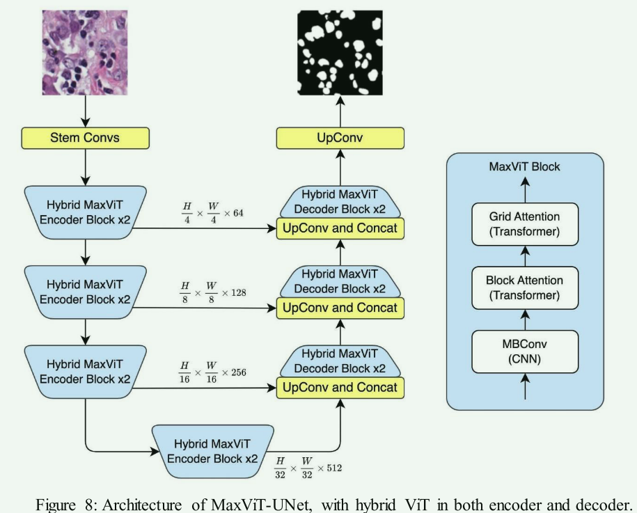 【论文阅读笔记】A Recent Survey of Vision Transformers for Medical Image Segmentation