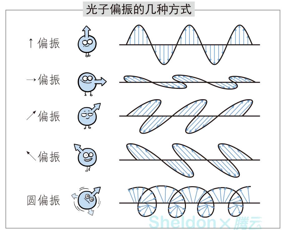 175d5ef2779dccda7919e6d2a2eb2577.png