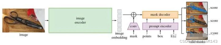 SAM-TensorRT模型转换_python