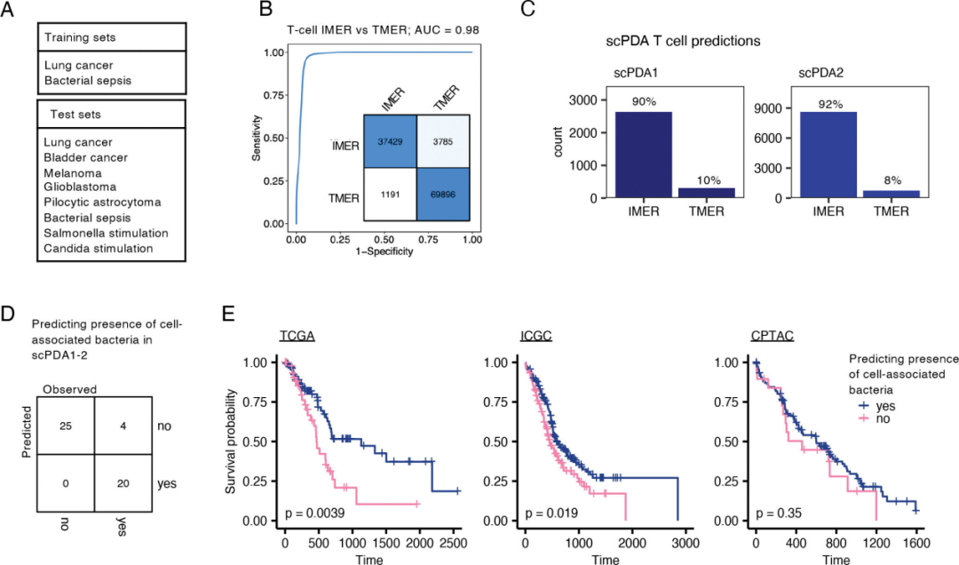 Cancer Cell全新组学联合-癌症微生物探索