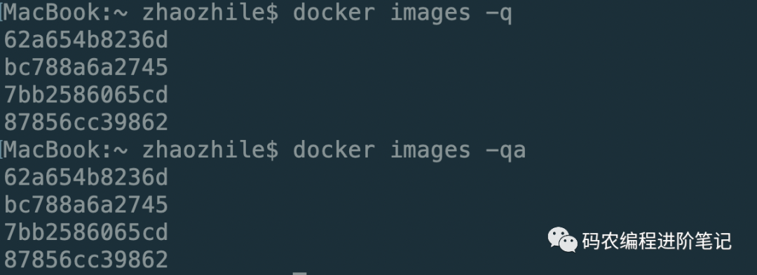 Docker 常用命令！还有谁不会？[通俗易懂]