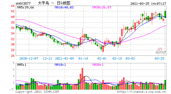 603877-太平鸟