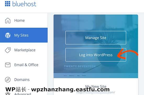 Bluehost 登录到您的 WordPress 网站