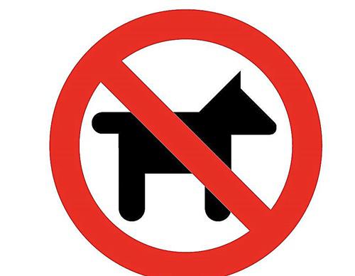 湖北出台禁犬令php新闻湖北省拟出台最严禁狗令禁止饲养包括中华田园