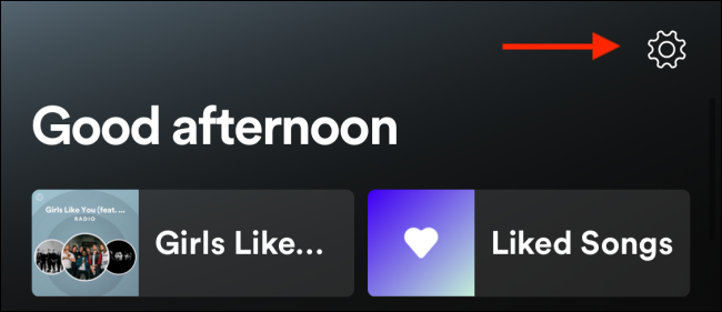 Tap the Settings icon from Home in Spotify
