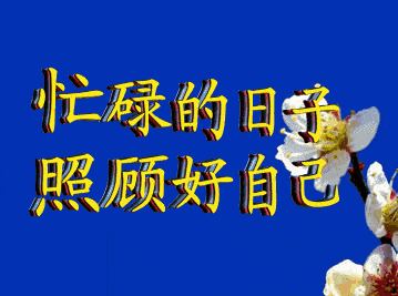 关于c语言的聊天图片不用打字搞笑,最美聊天图片不用