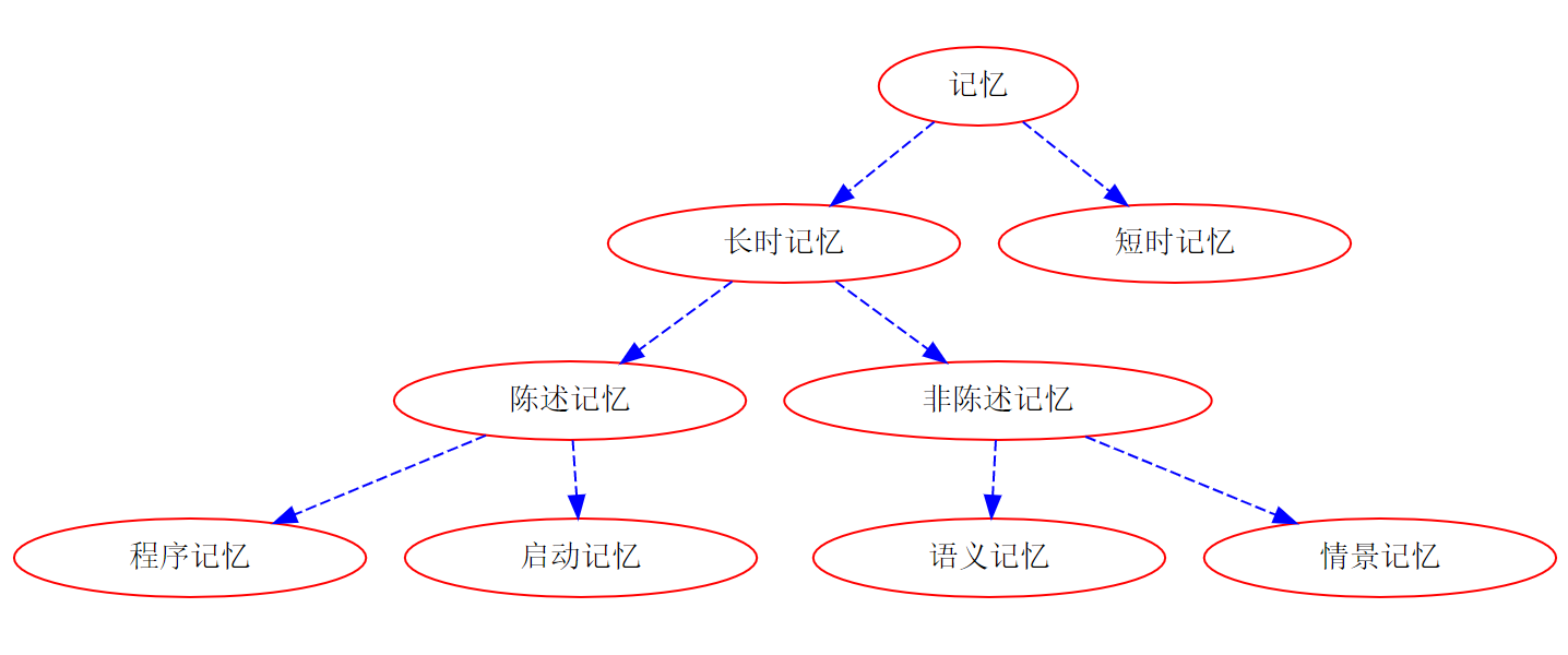 大脑的记忆