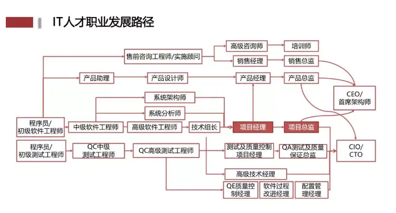 IT人才职业发展路径