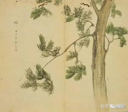 196393c6928a5ed9b865e9b0b3e40ef5.png