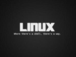 LINUX操作系统