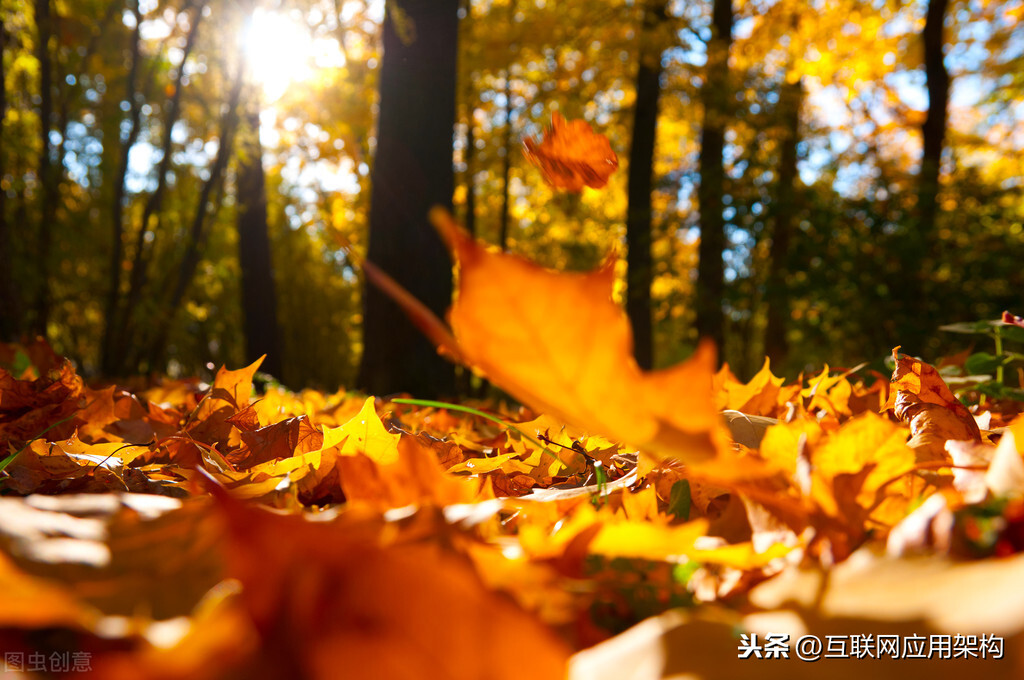 微服务手册:API接口9个生命节点,构建全生命周期管理