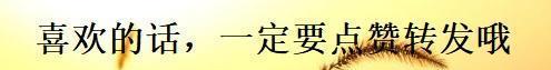 计算机科学与技术学起来枯燥,减肥还在计算热量？聪明人的减肥饮食，用手比划就行了...