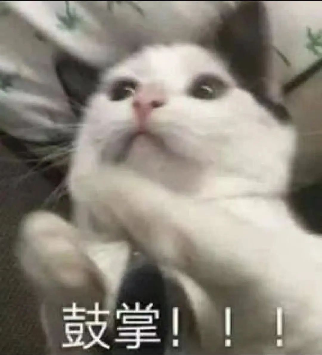 19e197c6dbdc43b368bf57b5c8916a99.jpeg