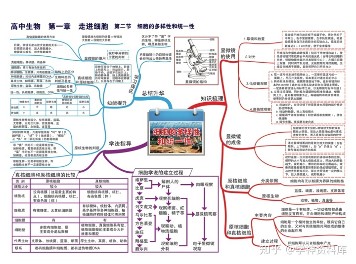 導數與微分的知識點思維導圖高中生物思維導圖知識點總結