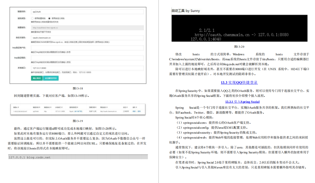 Everything!  Finally someone sorted out the Spring Security configuration + security protection + OAuth2 source code PDF