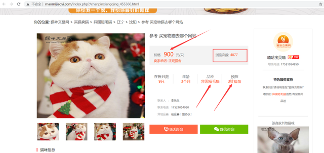 什么品种的猫最受欢迎？Python爬取猫咪网站交易数据[通俗易懂]