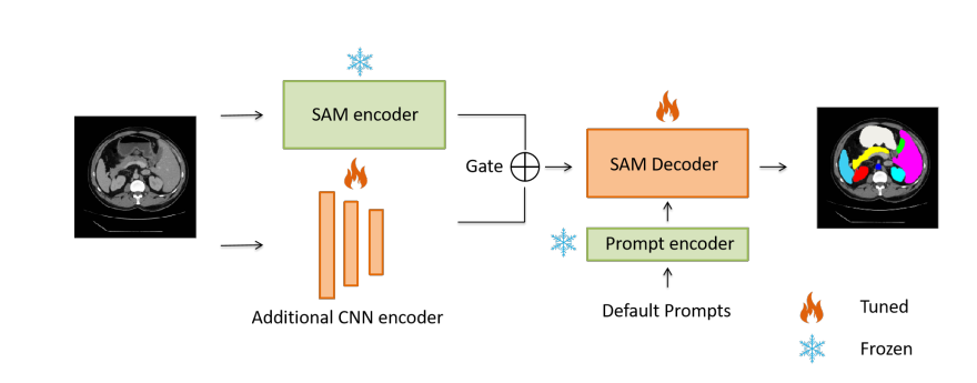文献速递：基于SAM的医学图像分割---阶梯式微调方法，用于整合补充网络的自适应矩估计（SAM）