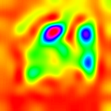 features.7_Cam_Heatmap