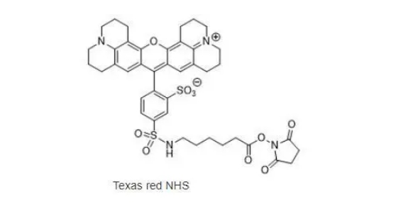 216972-99-5，Texas Red-X NHS ester,mixed isomers，生物标记反应中常用的试剂