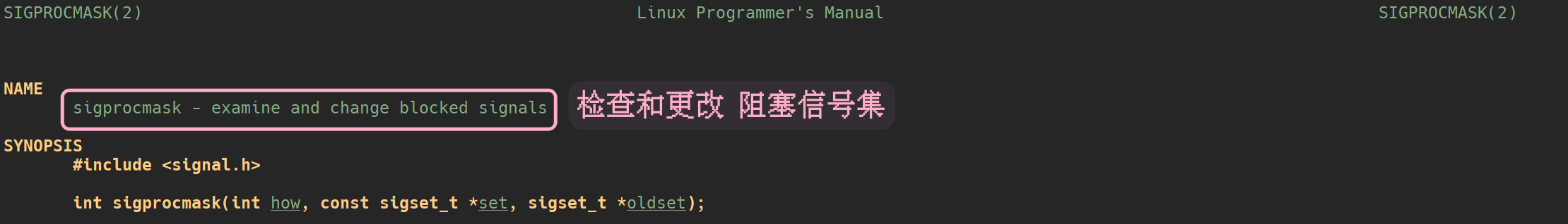image-20230406142706779