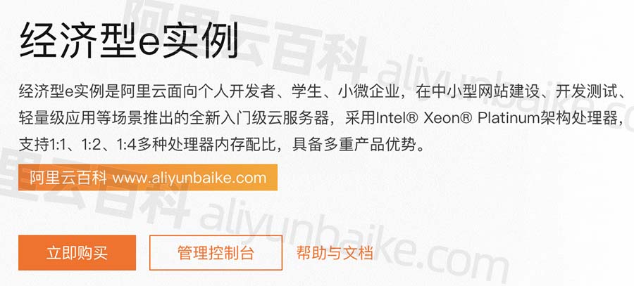 Alibaba Cloud Server Economical e-Instance
