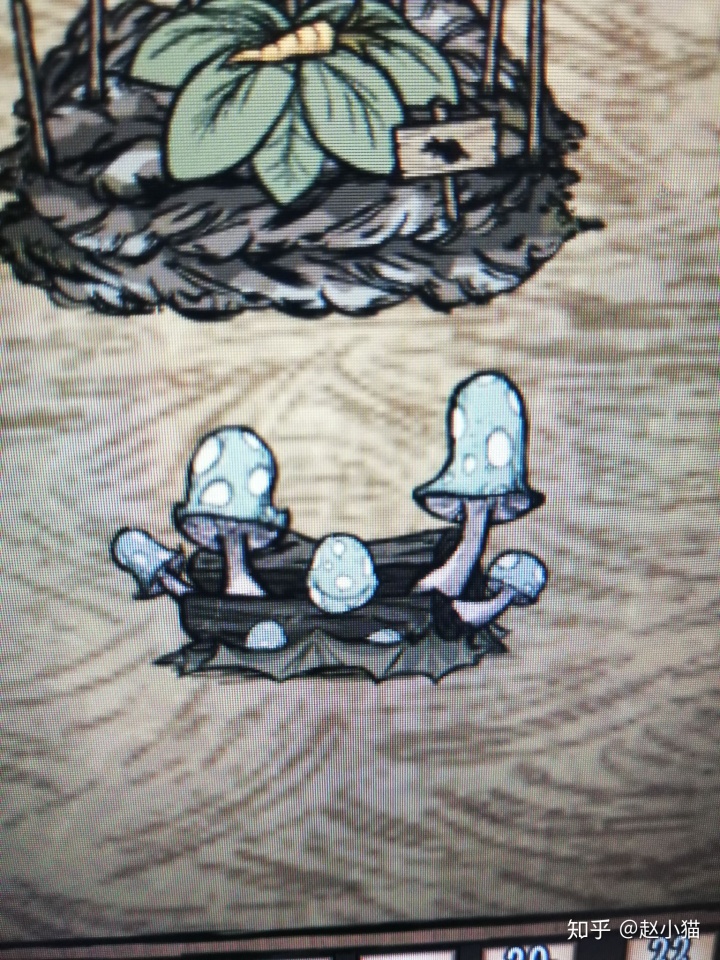 饥荒鱼排我的饥荒