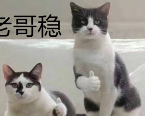 1a89fcada399fbea13ed0492b896cb8b.png