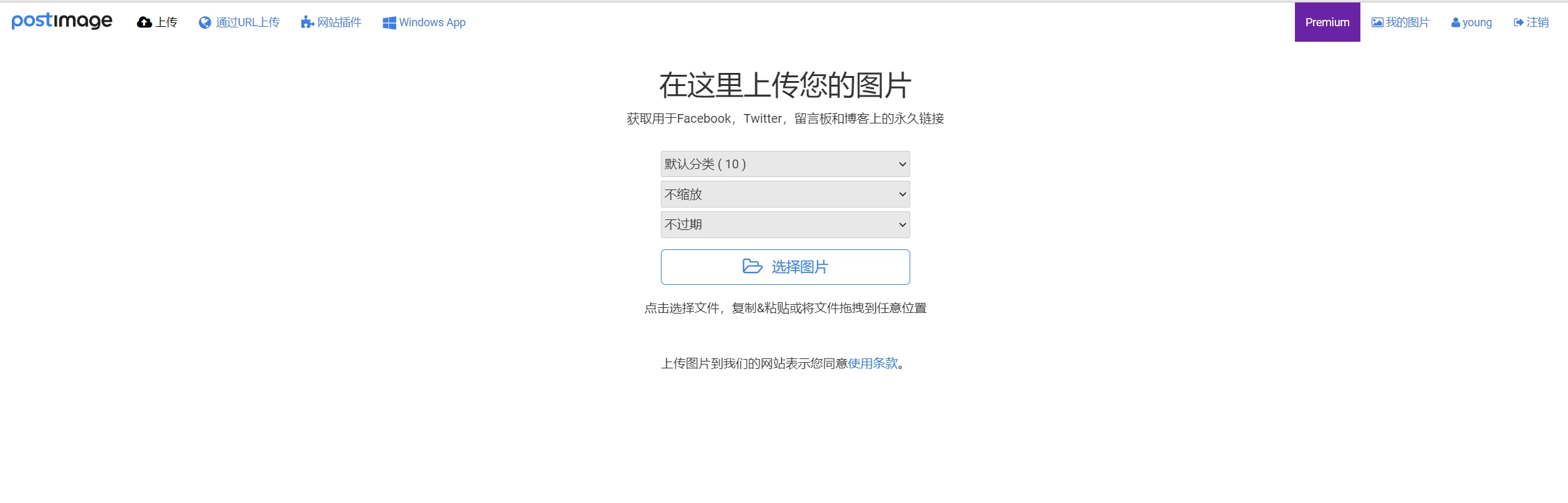 image-20230401150325587