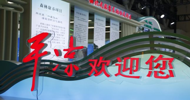 平凉崆峒区特产美食亮相兰洽会文旅康养展馆