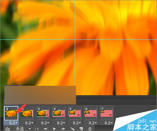 1ad1f0b13621b4eeb9b50a70e0172230.png