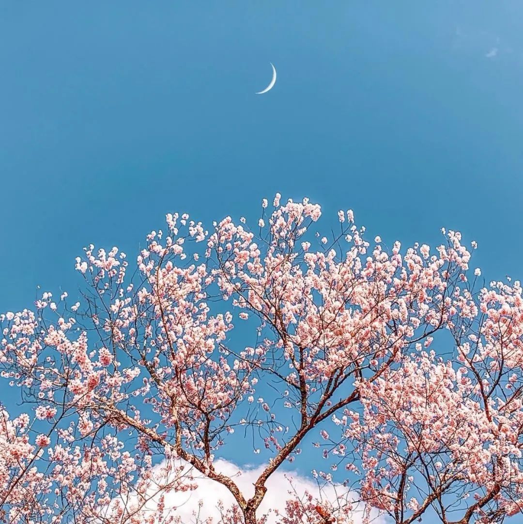 朋友圈封面 唯美 风景图片