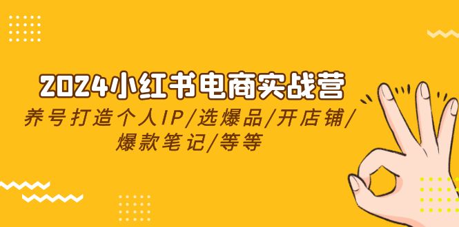 2024小红书电商实战营，养号打造IP/选爆品/开店铺/爆款笔记/等等（24节） 第1张