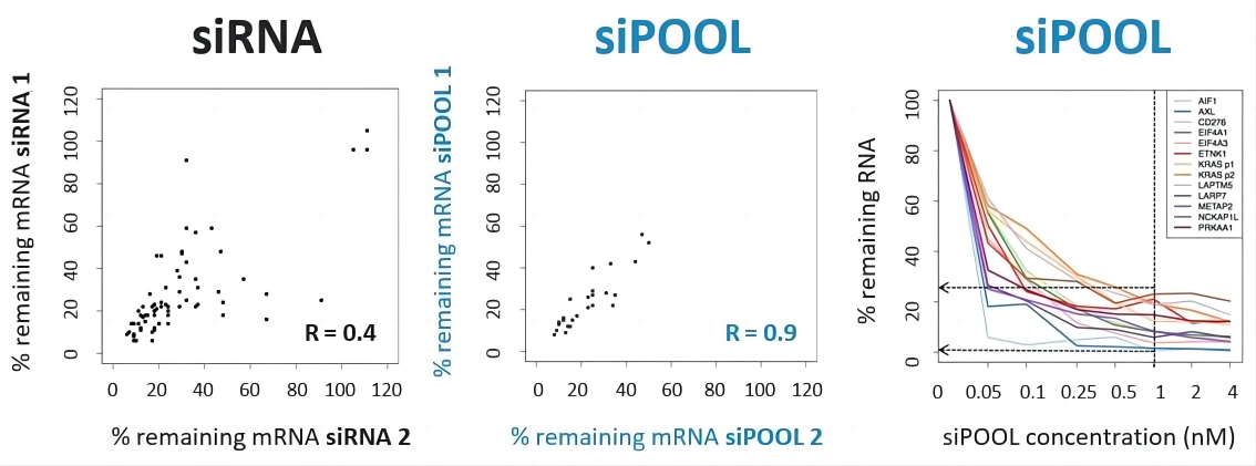 siPOOLs（一款高效、特异性好的RNAi试剂，可有效消除脱靶效应）
