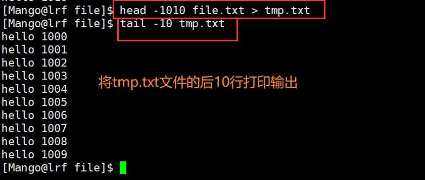 image-20220227105049127