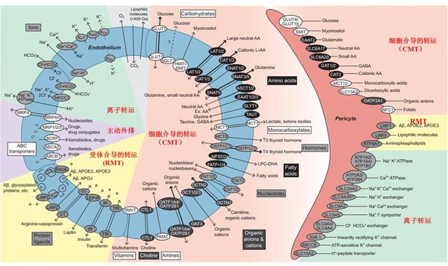 yy2013年度盛典