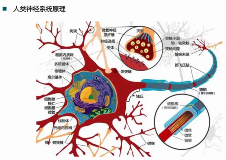 机器学习8 人工神经网络