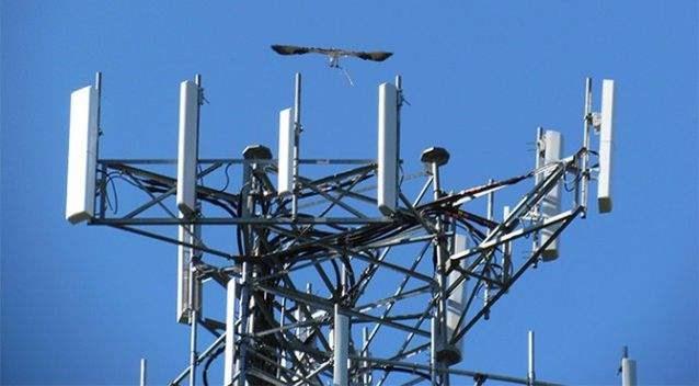 lte基站可以做ntpserver吗频段和信号那些事浅谈lte的mimo多天线技术