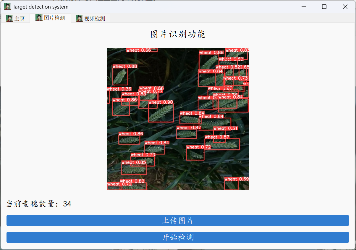 肆十二大作业系列清单_数据集_13