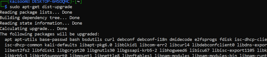 如何在Windows 10上使用Kali Linux应用程序