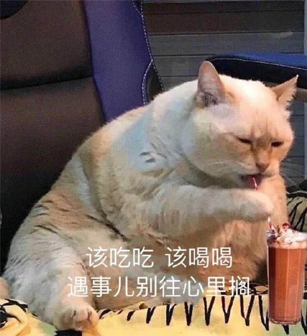 9,同样的好吃懒做,可大熊猫和猪却完全不一样,归根到底是这是个看脸的