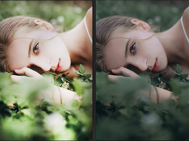 cameraraw滤镜预设调色美白如此简单pscc2019极品滤镜插件cameraraw